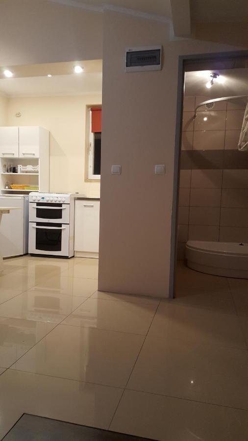 Wiola Apartment Zelistrzewo ภายนอก รูปภาพ